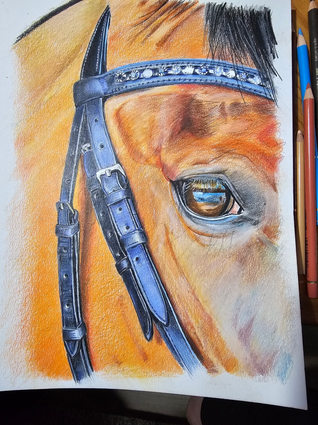 Close detail of an animal portrait in progress, showing a warm amber eye and blue jeweled bridle.