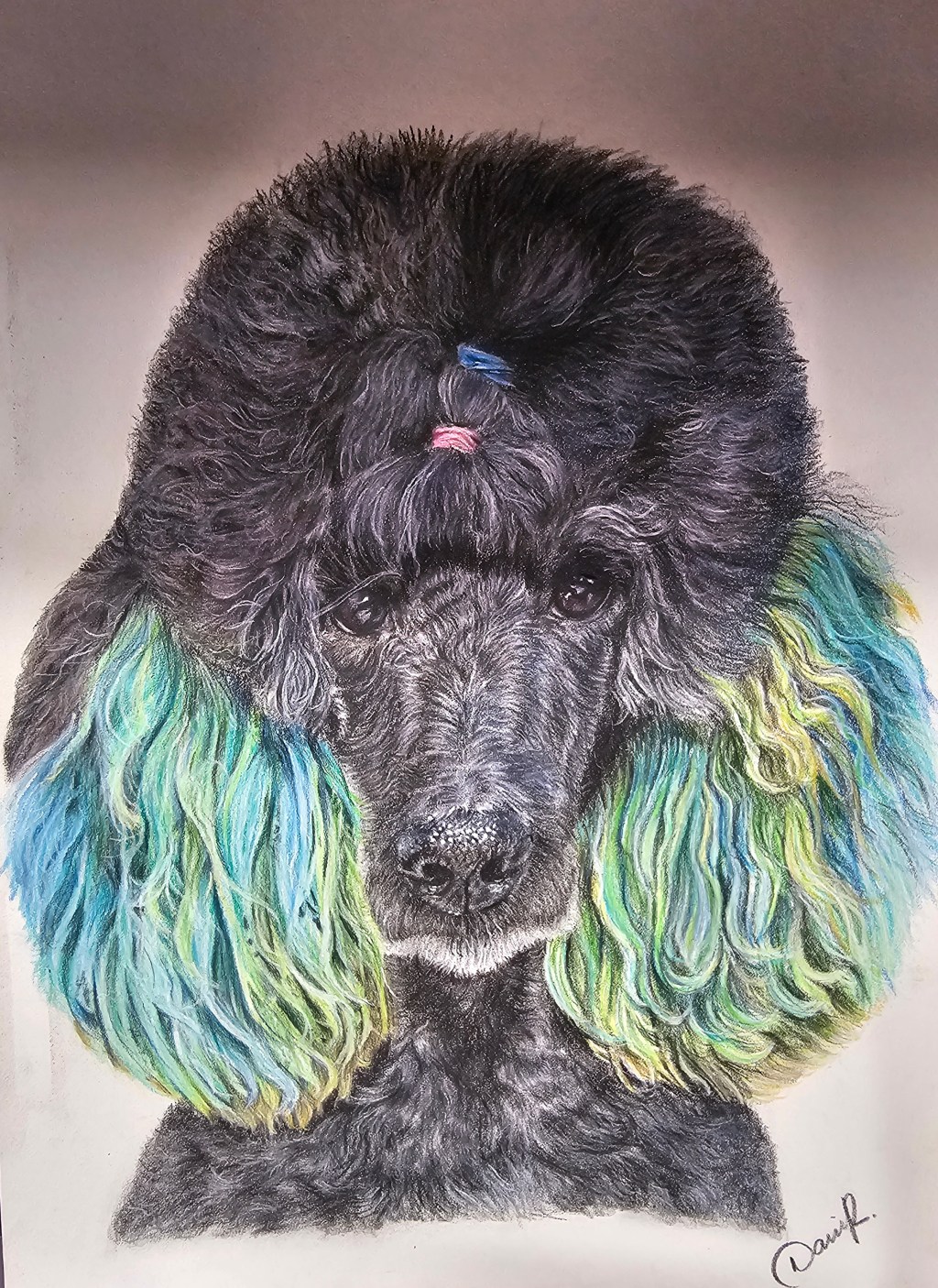 Expressive black poodle portrait with turquoise, lime-green, and blue curls framing the face.