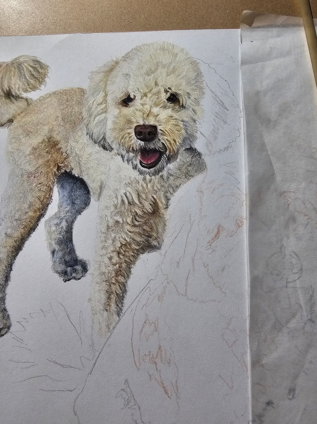 Work-in-progress drawing of two small dogs, with the first dog mostly colored and the second still in sketch stage.